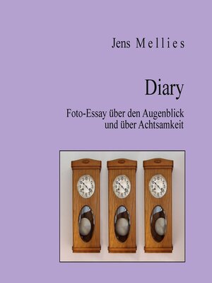 cover image of Diary